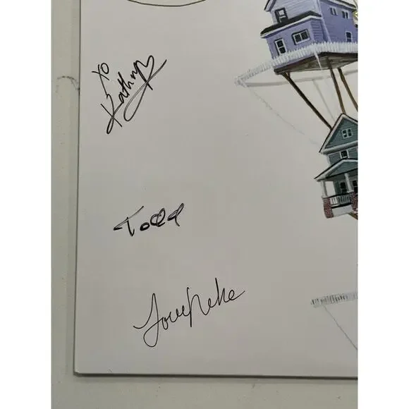 The New Pornographers band SIGNED lp album continue as a guest autographed #2